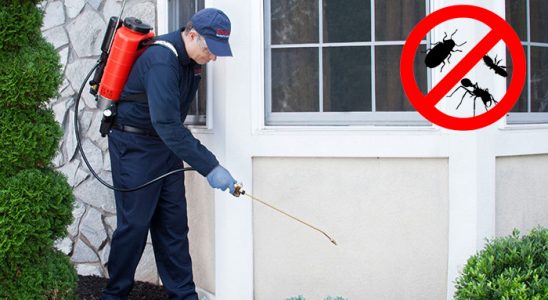Sığacık Karınca İlaçlama böcek ilaçlama ve haşere kontrolü — ilaclama-tr.com